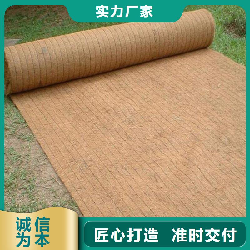 鼎诺防水板【 椰丝毯,HDPE土工膜厂家直发】
