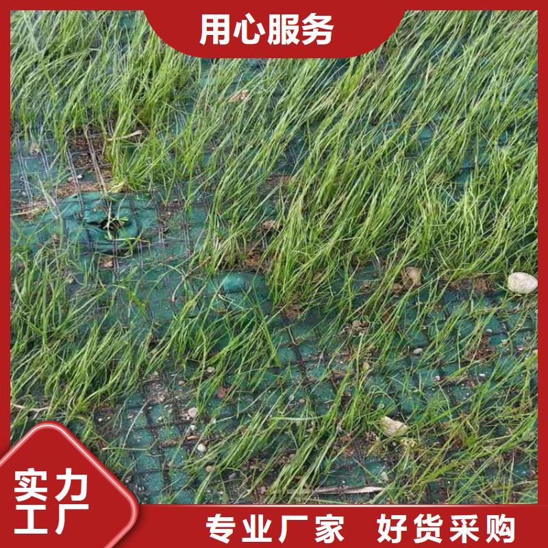 【椰丝毯】水泥毯一手价格