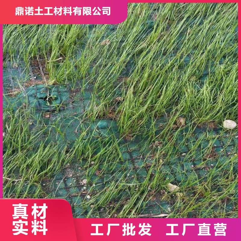 椰丝毯HDPE土工膜货到付款