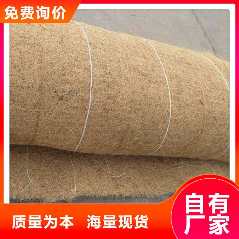 【椰丝毯】水泥毯一手价格
