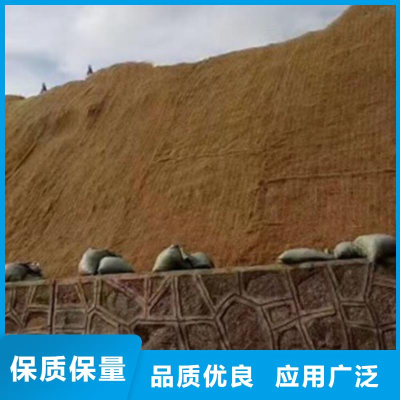 【椰丝毯】水泥毯一手价格