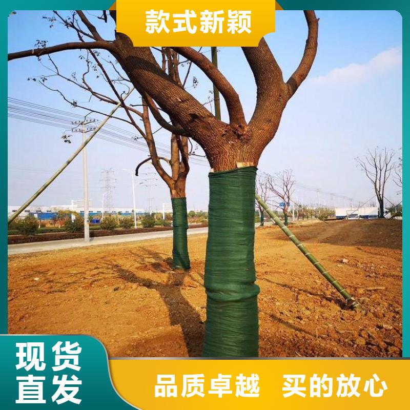 【 裹树布-通风降噪丝网严选好货】|阿里|昌都|拉萨|日喀则|林芝39065.com