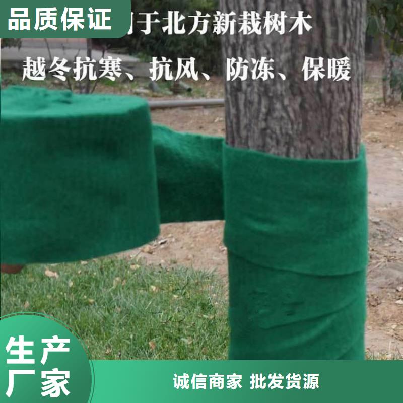 裹树布,防水板当日价格