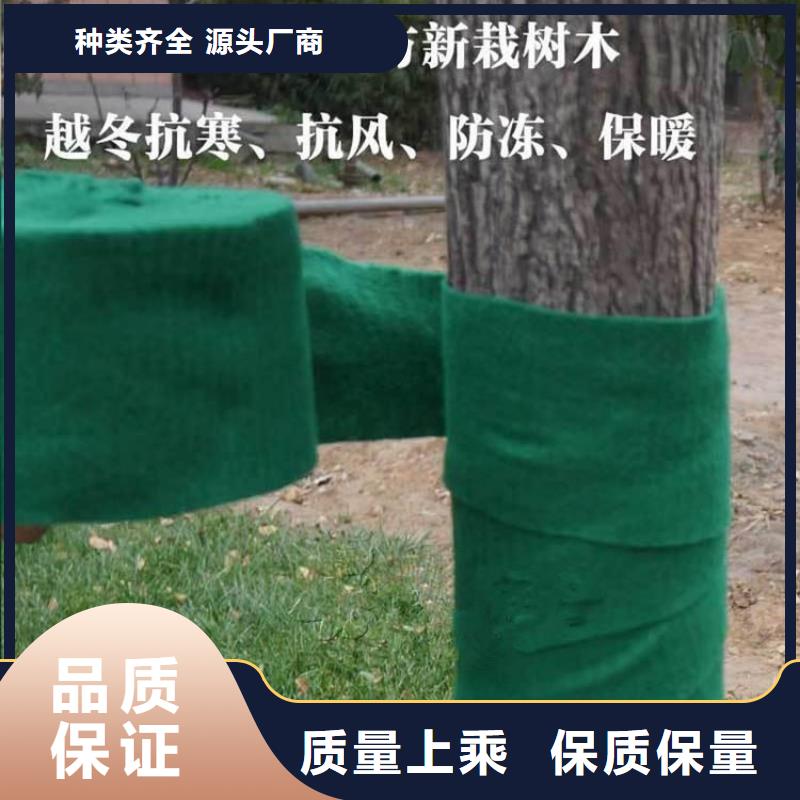 裹树布_生态袋工期短发货快