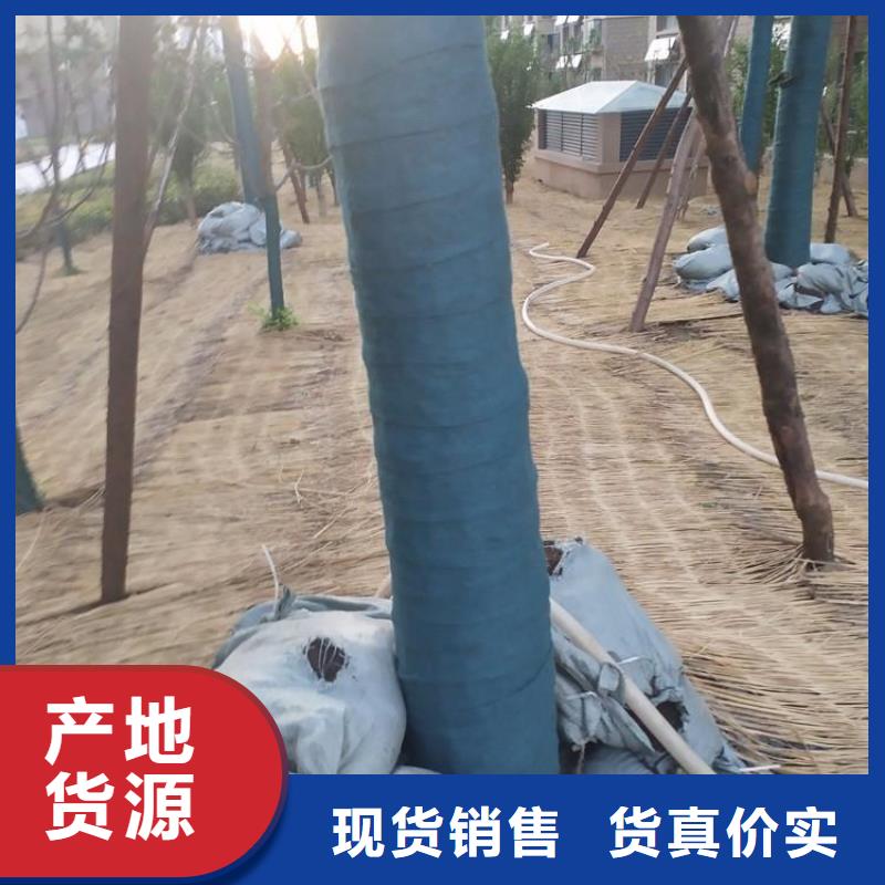 裹树布保湿布精选好货