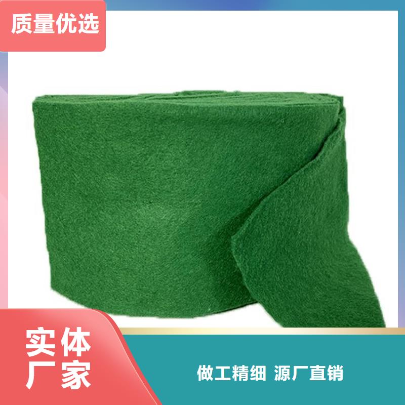 裹树布_生态袋工期短发货快