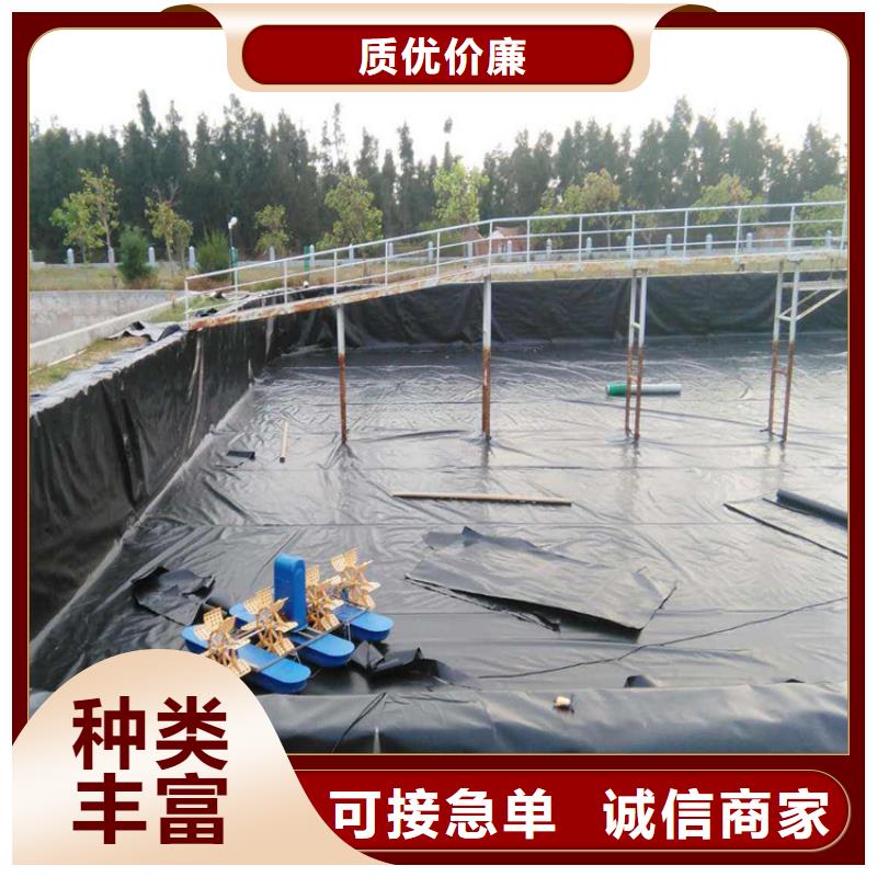土工膜双向塑料土工格栅源厂定制