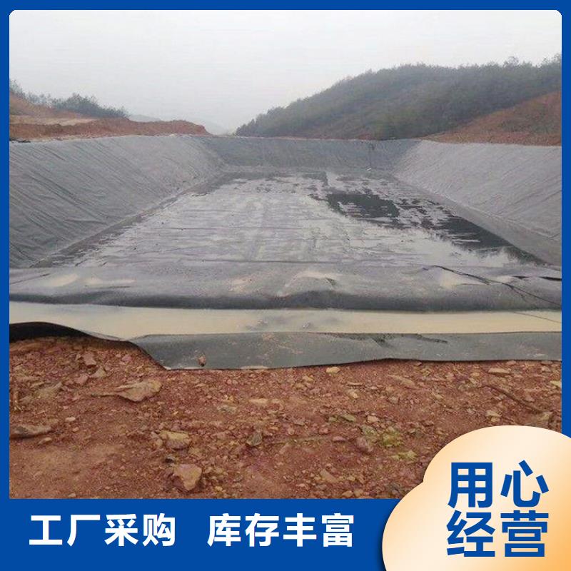 土工膜双向塑料土工格栅源厂定制