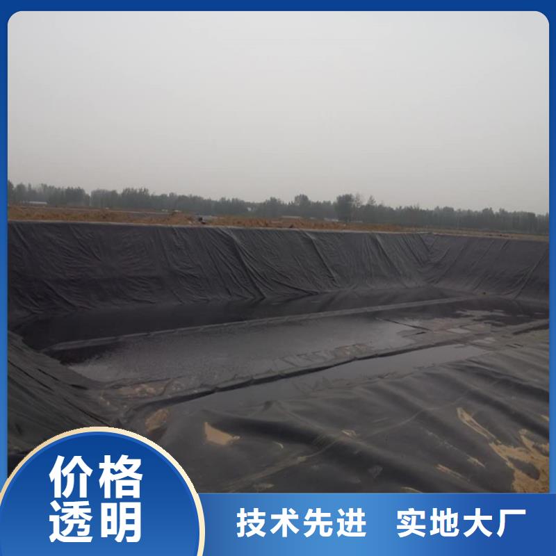 土工膜【聚酯布】服务周到