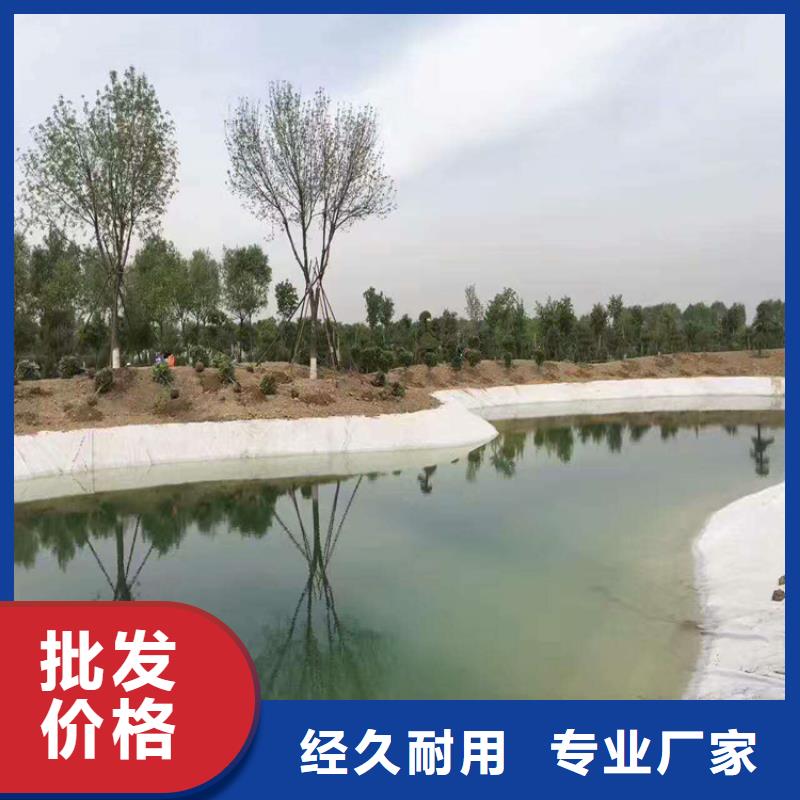 中齐玻纤格栅【土工布】,防渗膜厂家直销大量现货云商赢企