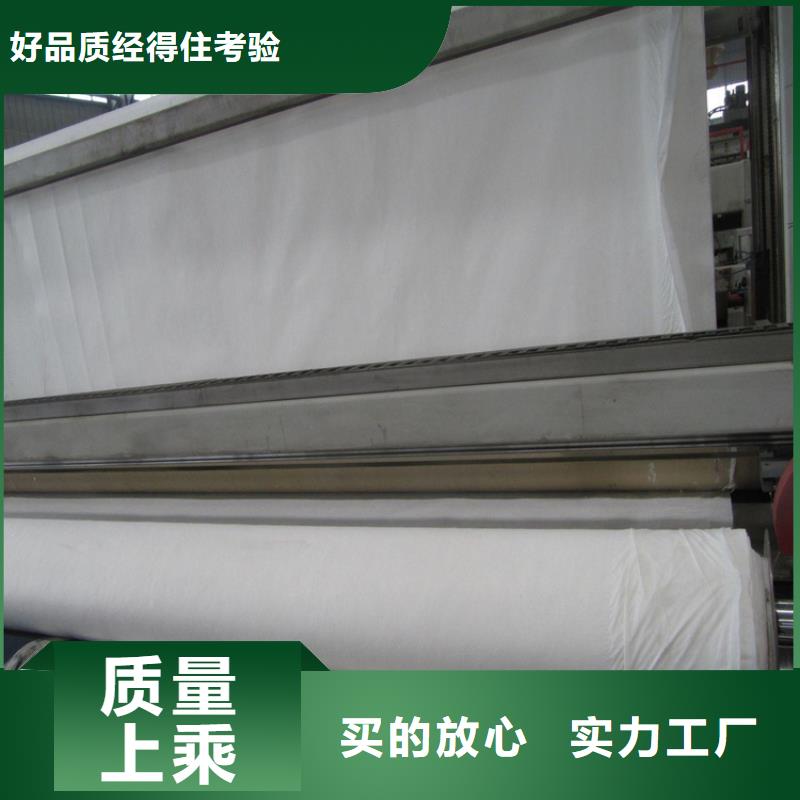 土工布钢塑土工格栅产品优良