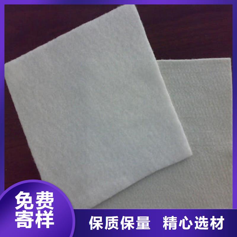 土工布-【防水板】专注细节使用放心