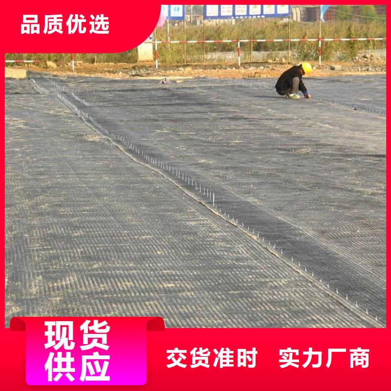 土工格栅诚信商家服务热情