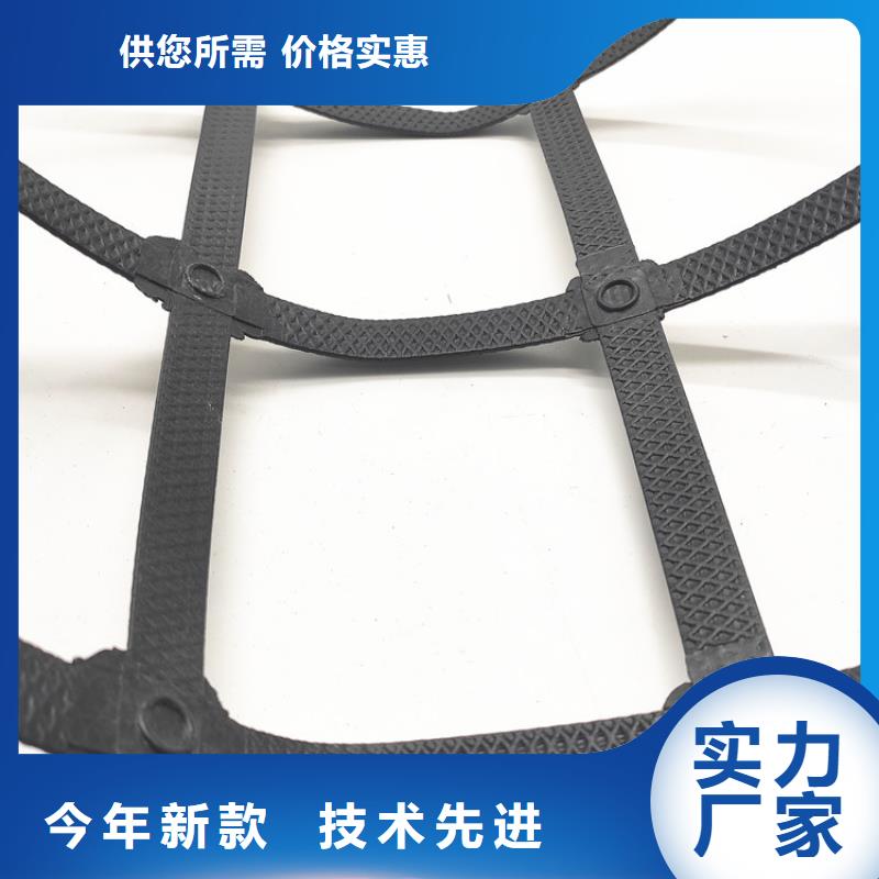 土工格栅三维植被网用心经营