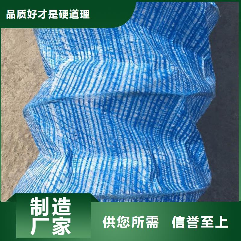 软式透水管三维植被网厂家直营