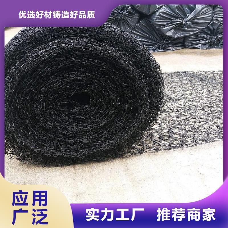 通风降噪丝网双向塑料土工格栅48小时发货