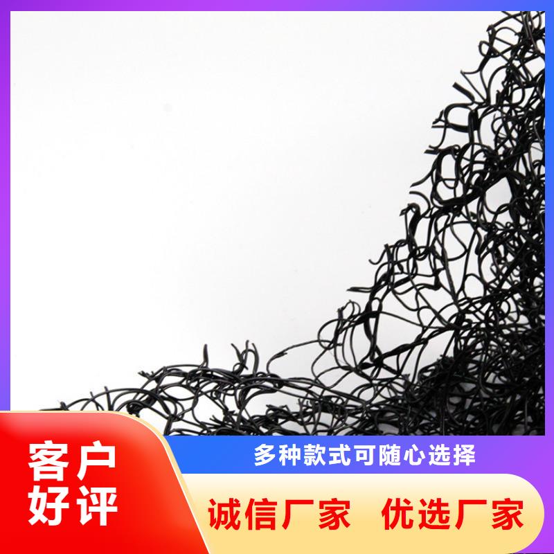 通风降噪丝网双向塑料土工格栅48小时发货