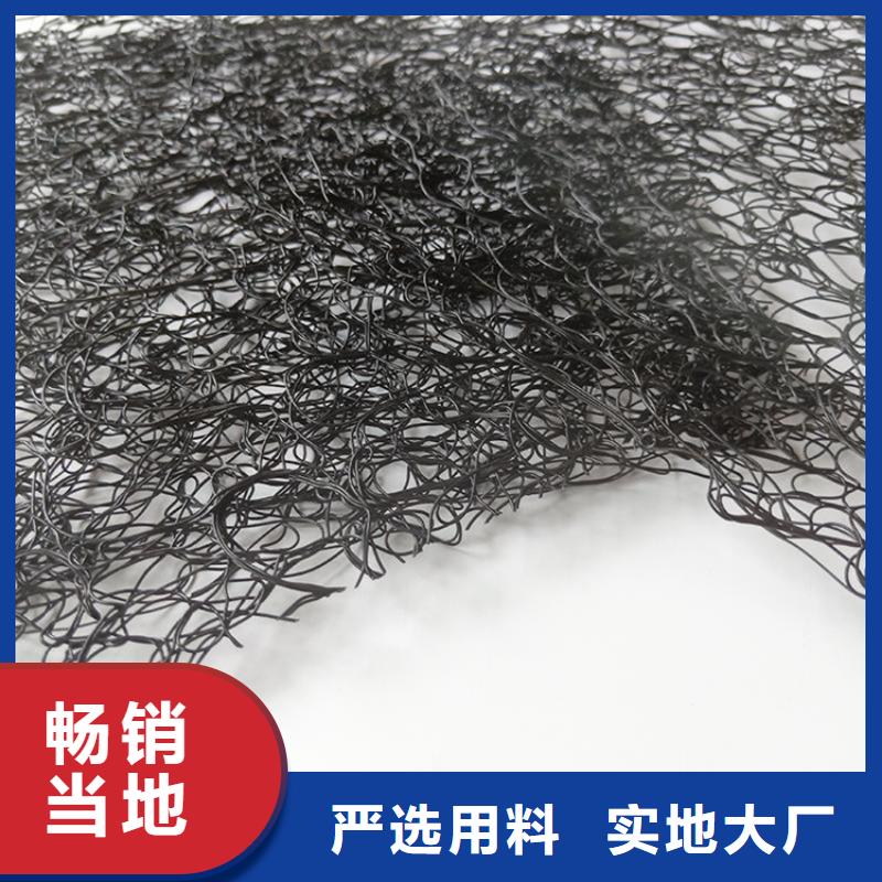 通风降噪丝网钢塑土工格栅商家直供