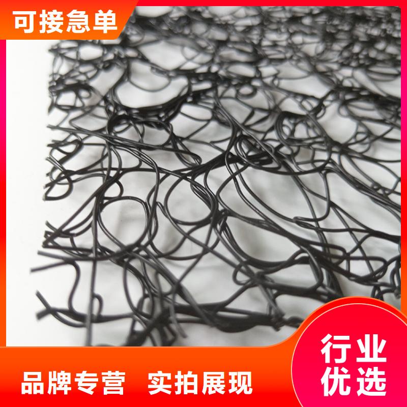 通风降噪丝网钢塑土工格栅商家直供
