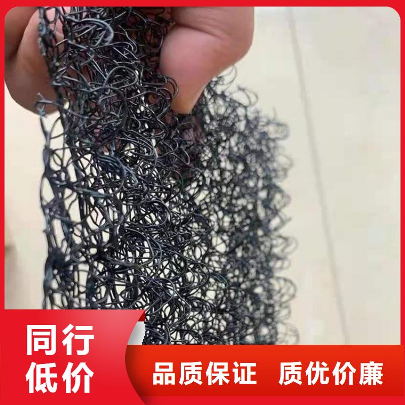 【水土保护毯】-通风降噪丝网诚信商家服务热情|太康|鹿邑|洛阳|三门峡|许昌|商丘|新乡|漯河|濮阳39065.com
