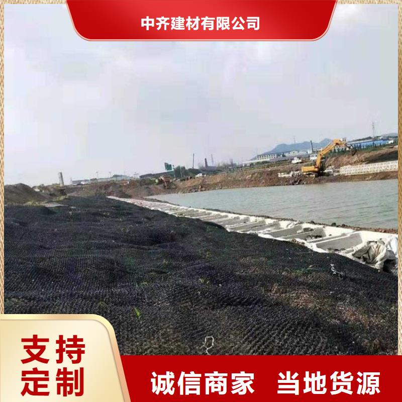 水土保护毯【双向塑料土工格栅】定制零售批发