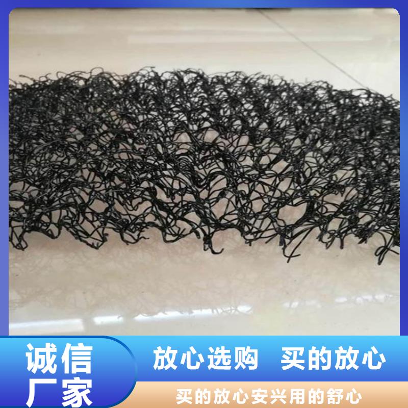 水土保护毯土工网垫优选好材铸造好品质