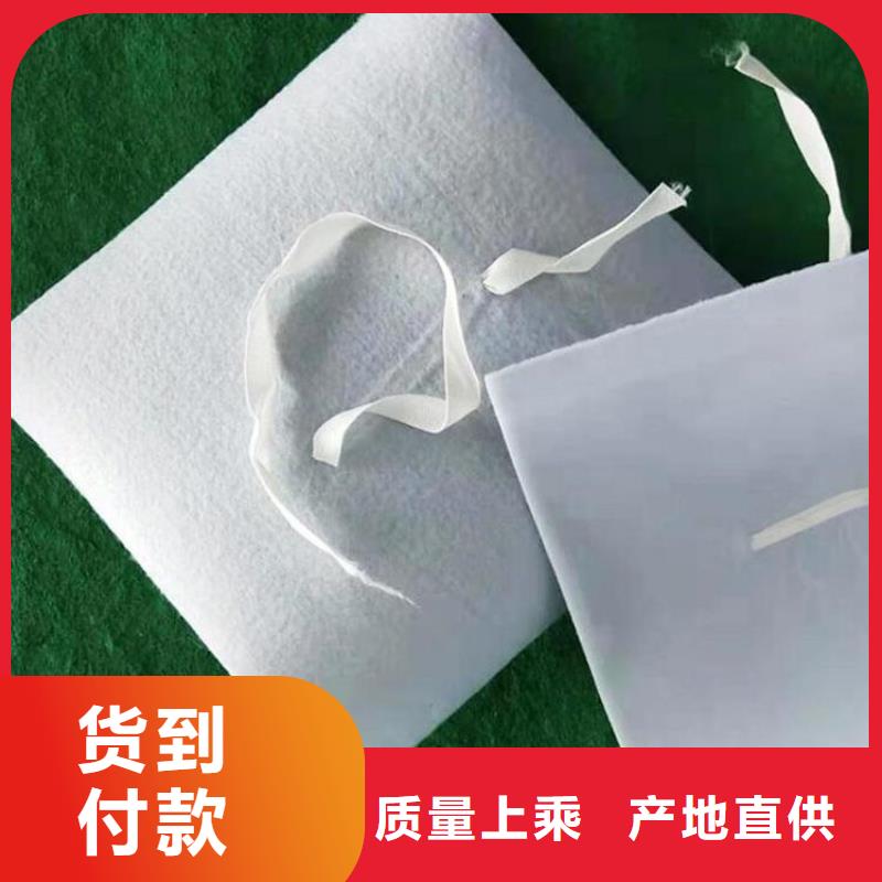 防水板塑料盲沟专业生产团队