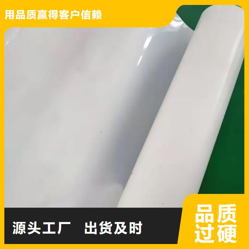 【防水板】 HDPE土工膜做工细致 中齐建材(宁夏分公司)