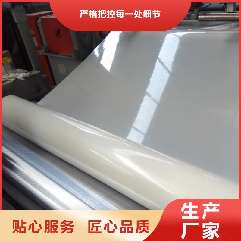 防水板土工膜经久耐用