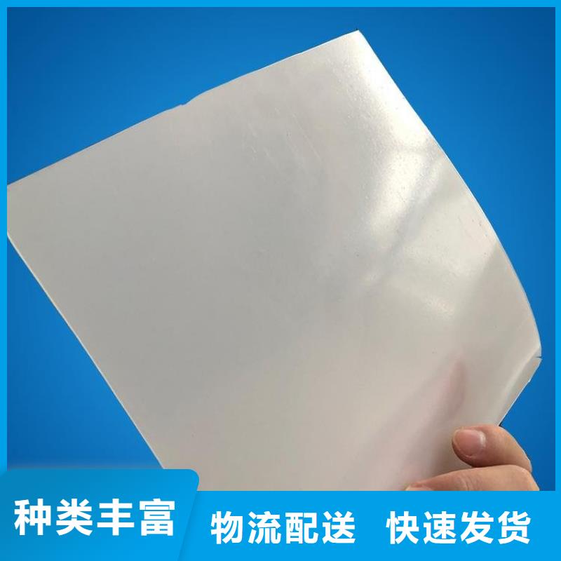 防水板,土工格栅专业生产N年