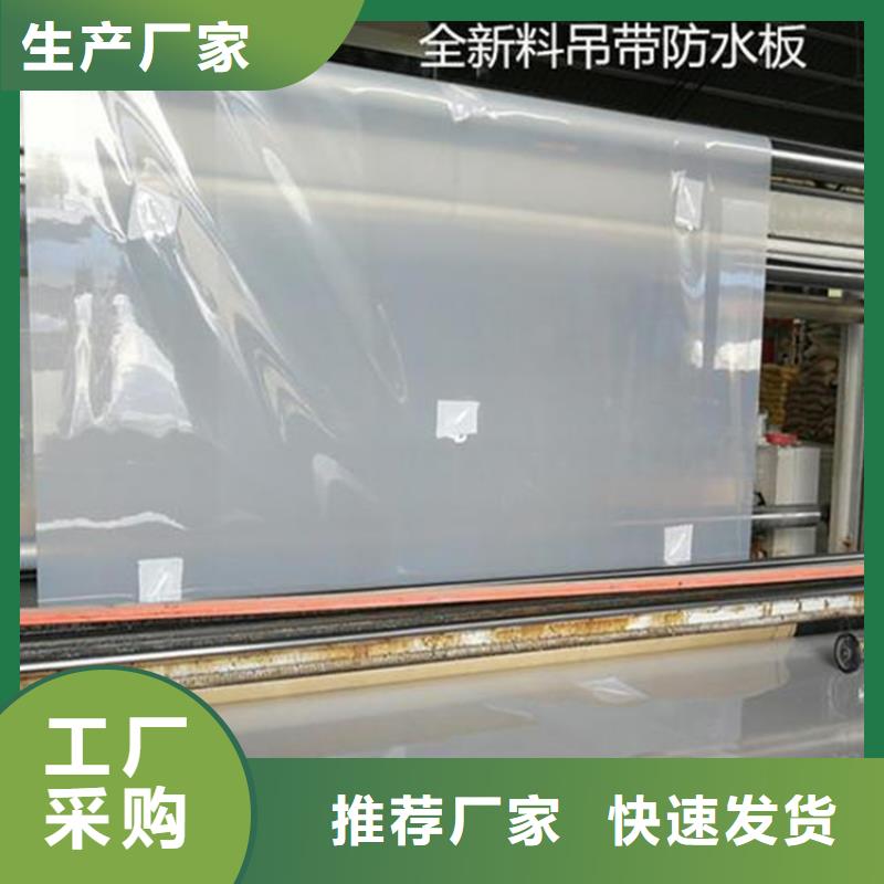 防水板复合膜厂家精选