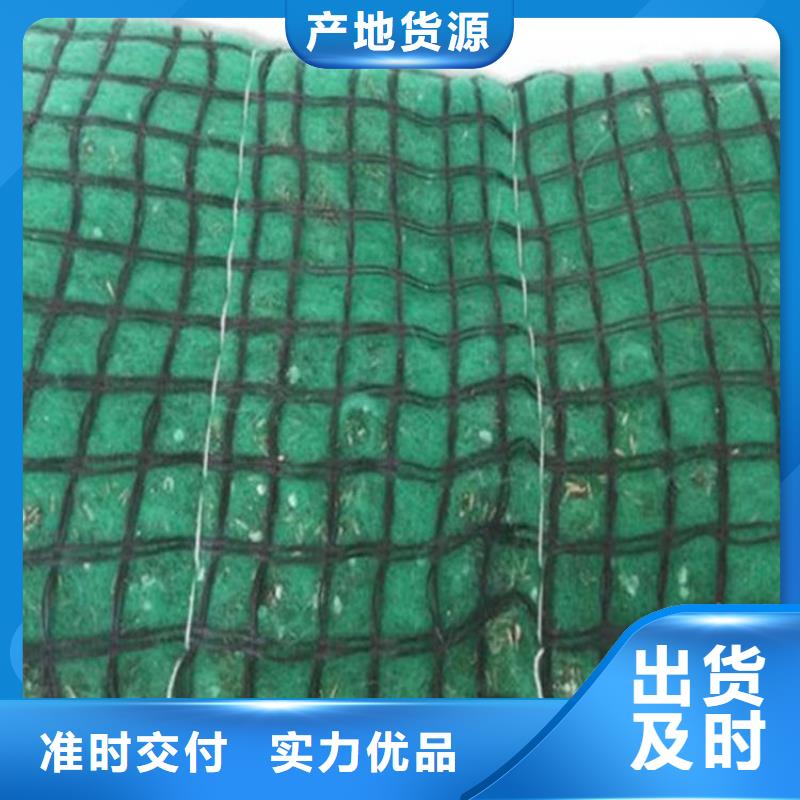 椰丝毯土工膜精心