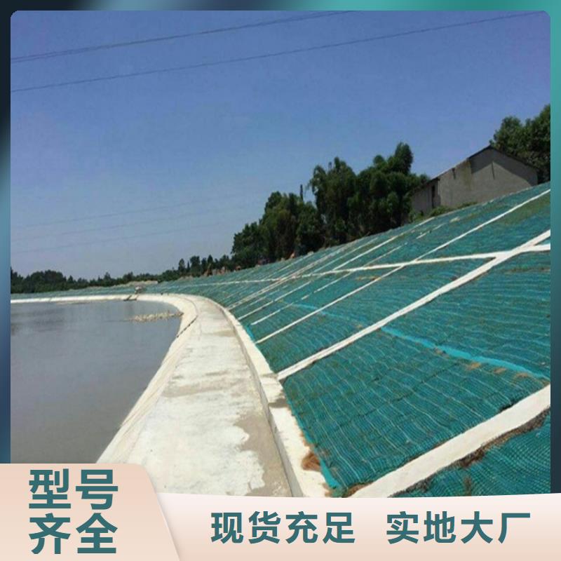 椰丝毯土工膜精心