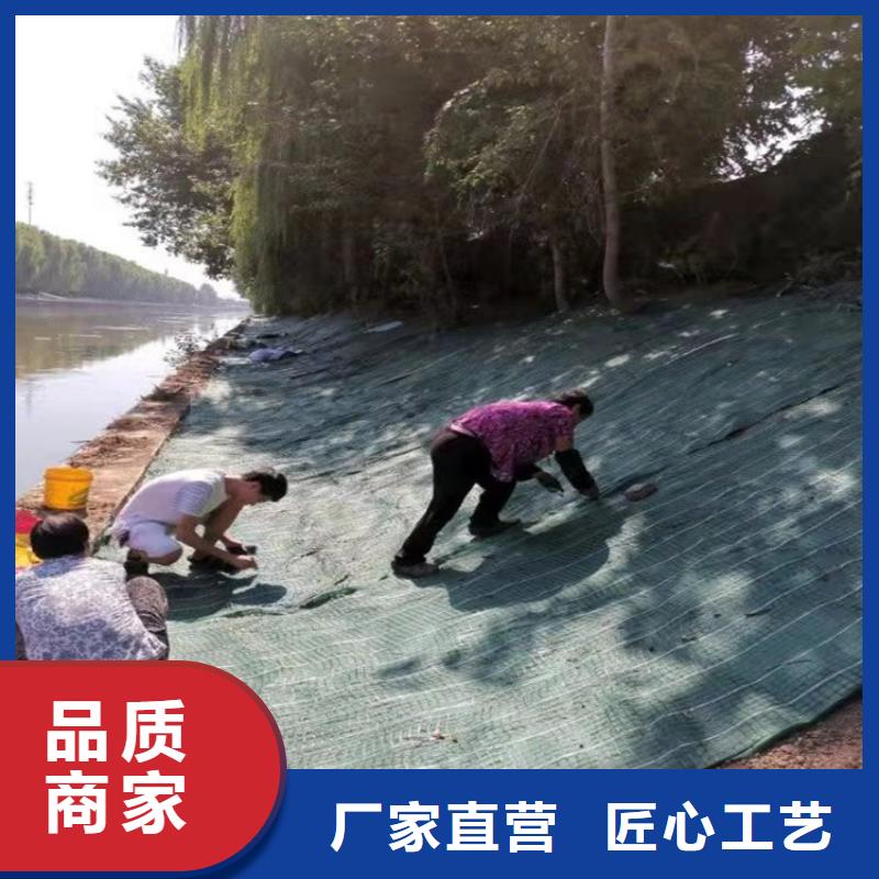 椰丝毯土工格栅当地货源