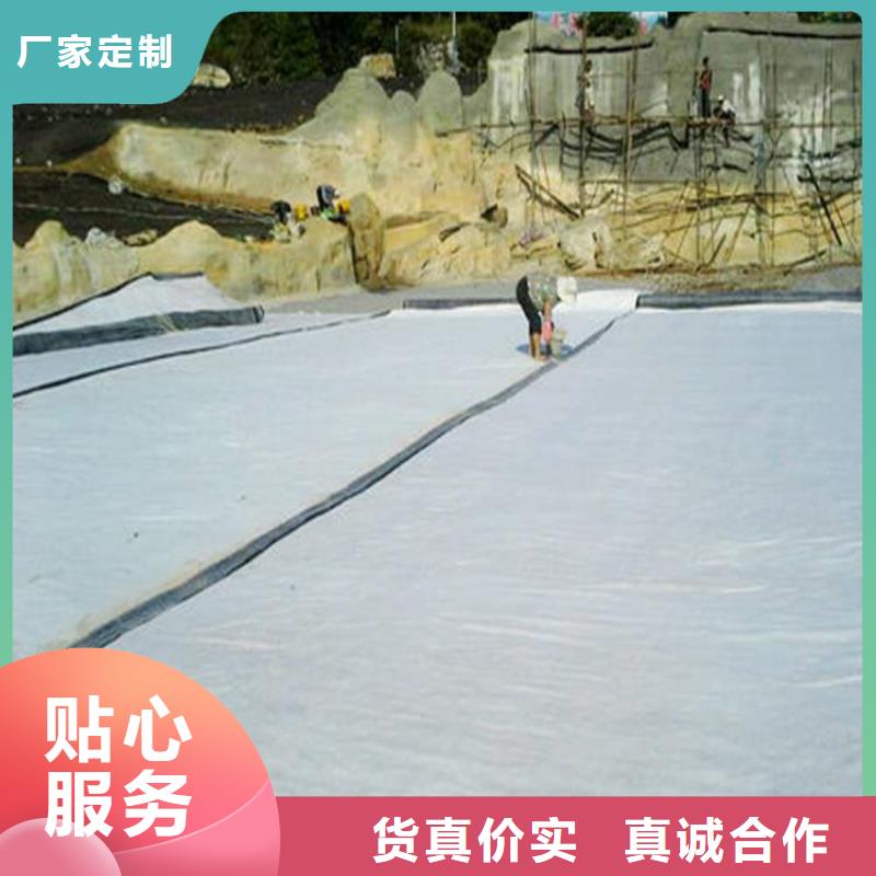 【膨润土防水毯】,防渗膜专业生产制造厂中齐玻纤格栅