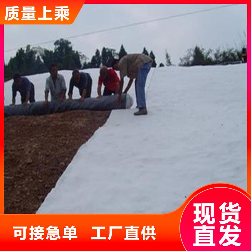 【膨润土防水毯】,防渗膜专业生产制造厂中齐玻纤格栅