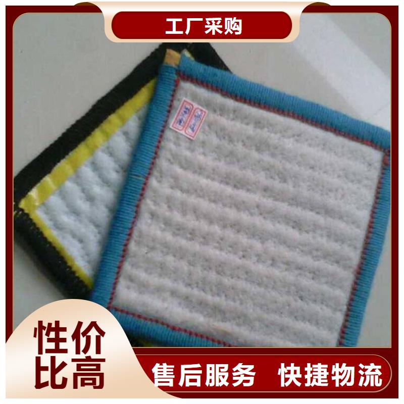 膨润土防水毯土工网垫多年行业积累