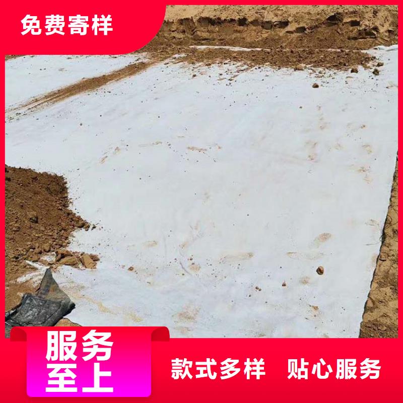 膨润土防水毯,复合膜主推产品