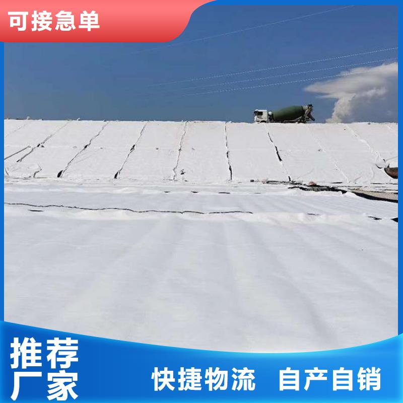 膨润土防水毯土工网垫多年行业积累