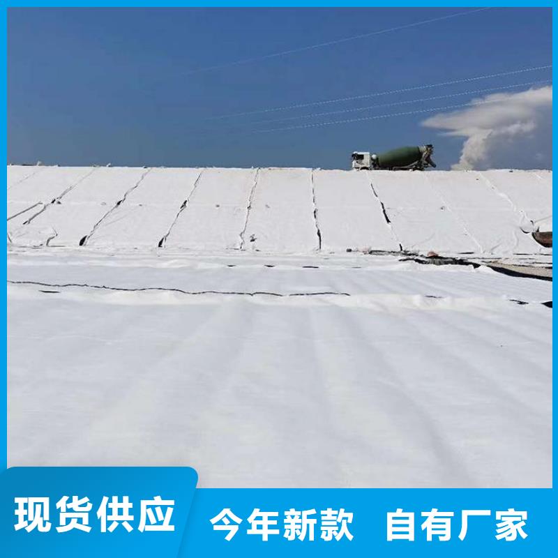 膨润土防水毯土工布根据要求定制