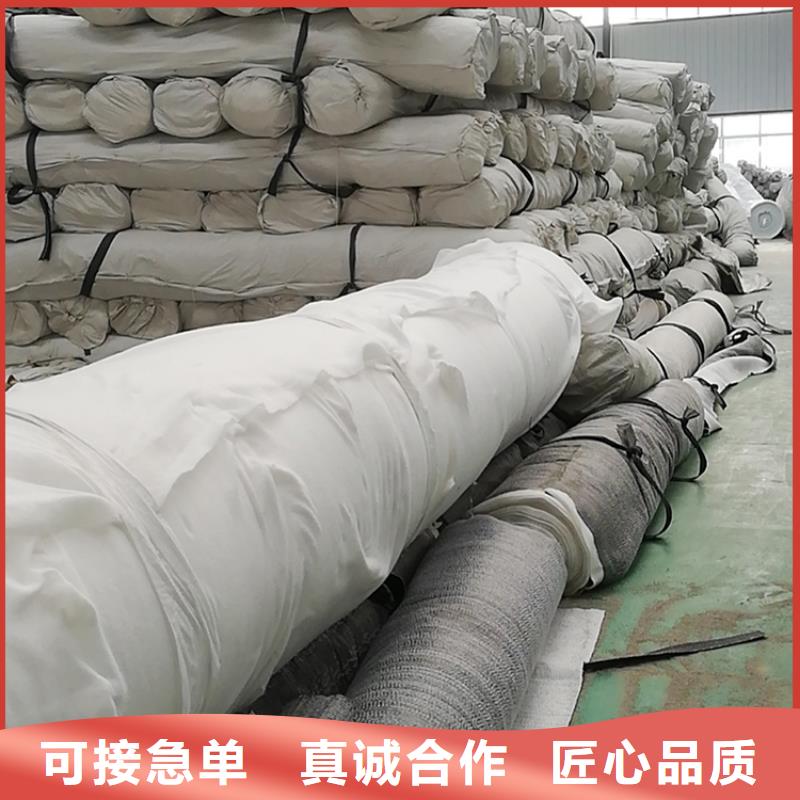 膨润土防水毯-三维植被网厂家供应