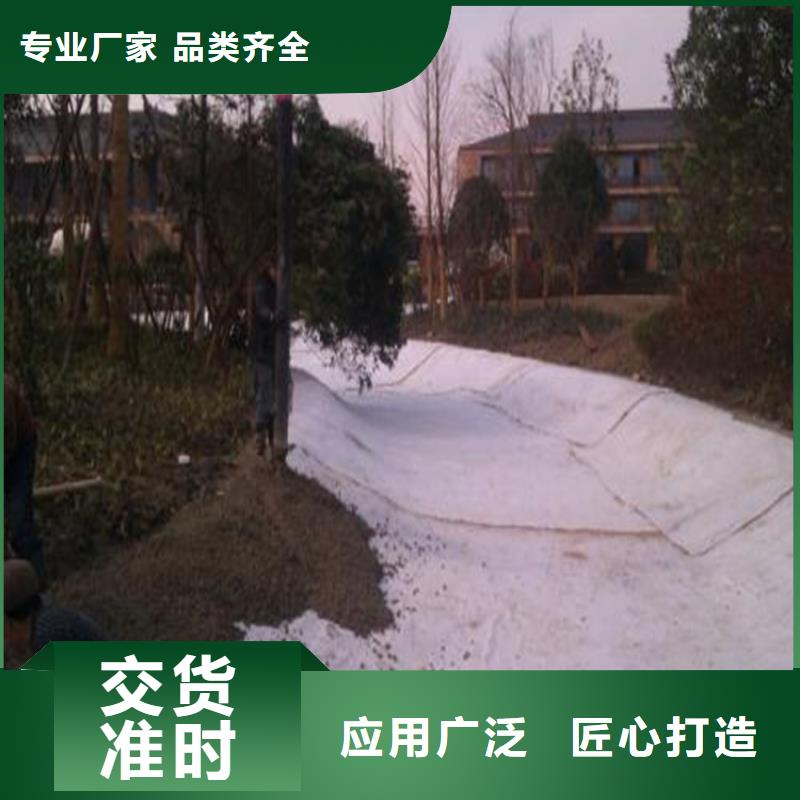 膨润土防水毯-三维植被网厂家供应
