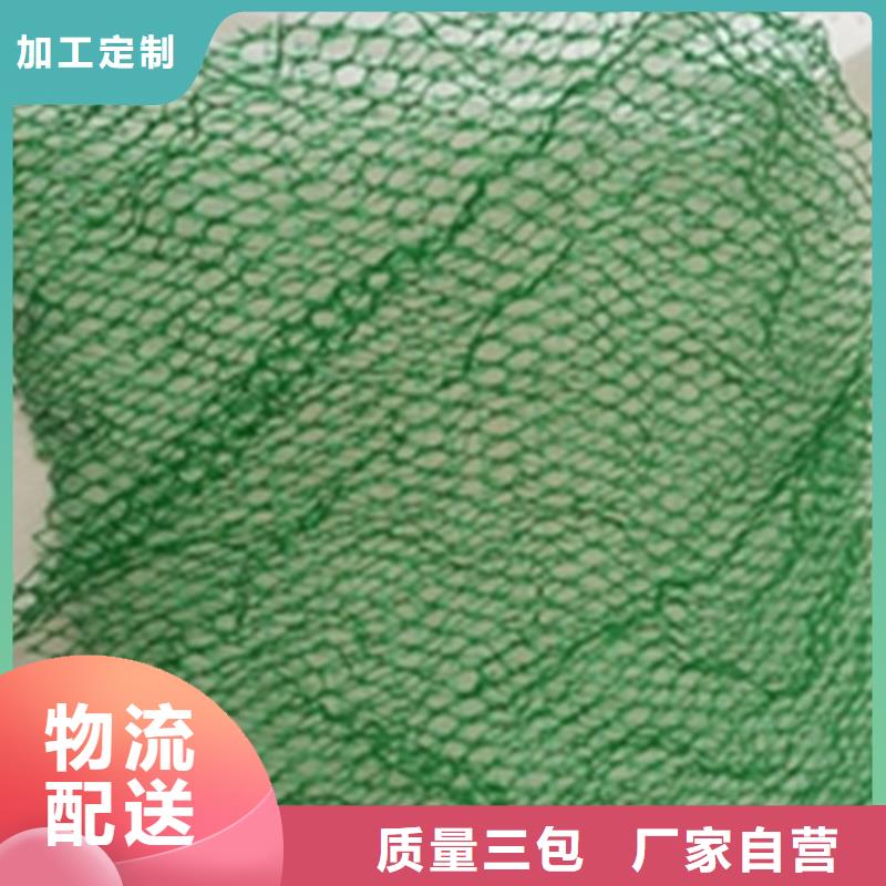 三维植被网【【钢塑土工格栅】】厂家现货批发