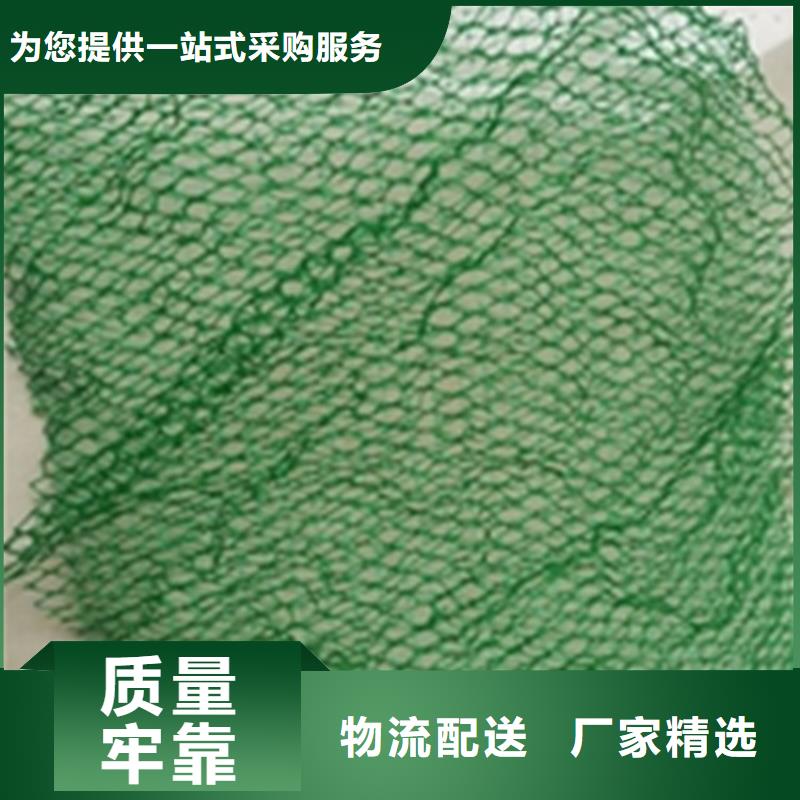 三维植被网HDPE土工膜物流配货上门