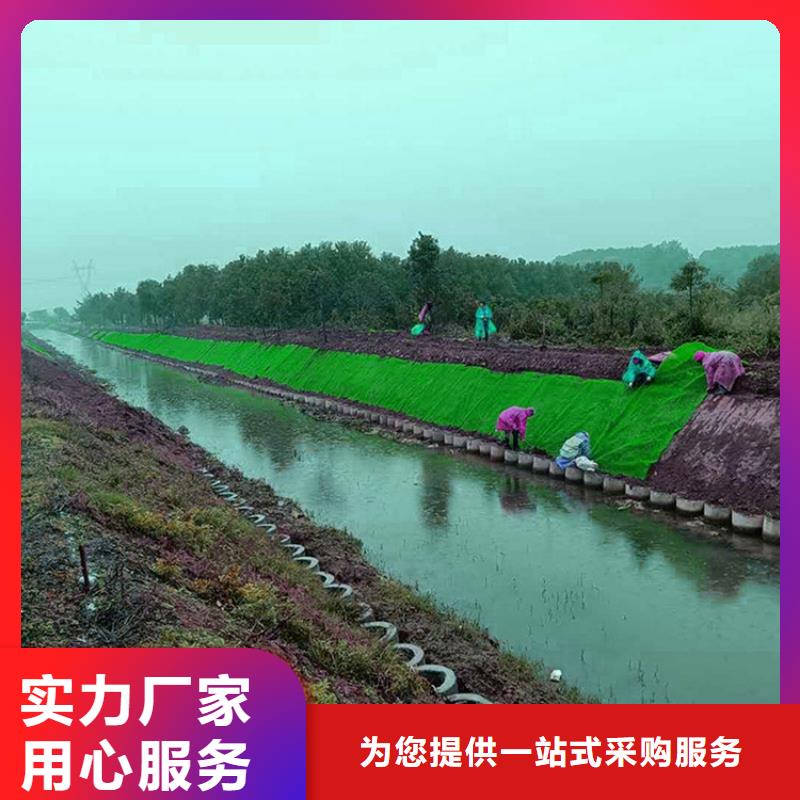 三维植被网土工布随到随提
