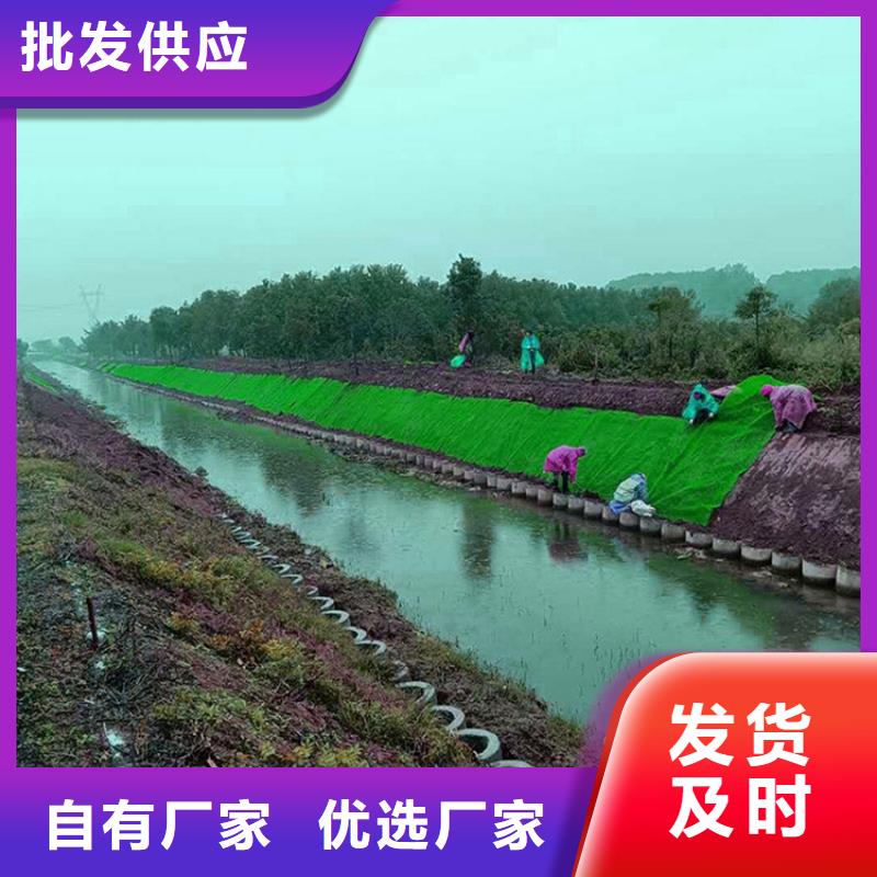 三维植被网土工格栅价格透明