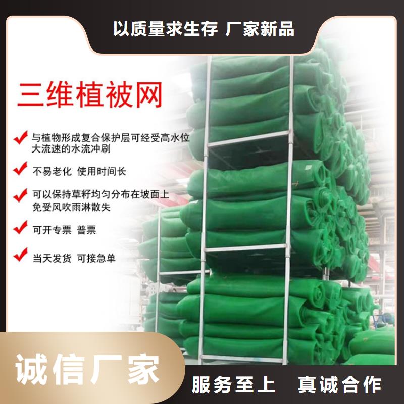 三维植被网【土工格室】厂家
