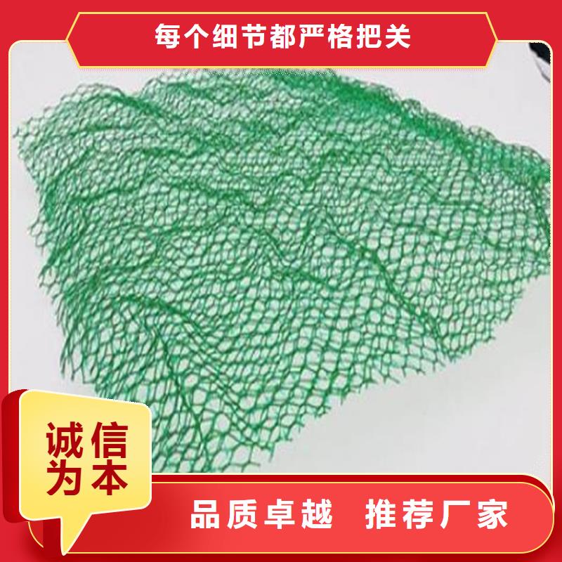 三维植被网-车库顶板排水板您想要的我们都有