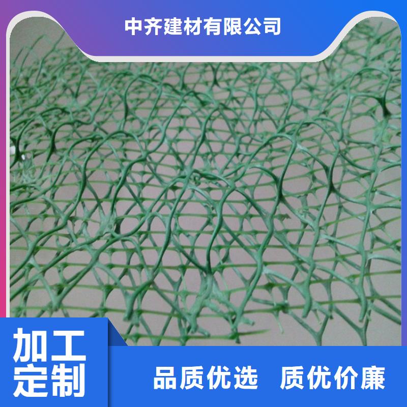 【 三维植被网_土工膜全品类现货】本地品牌