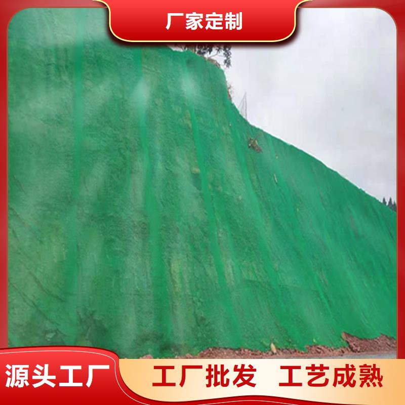 三维植被网矿用阻燃网厂家直销供货稳定